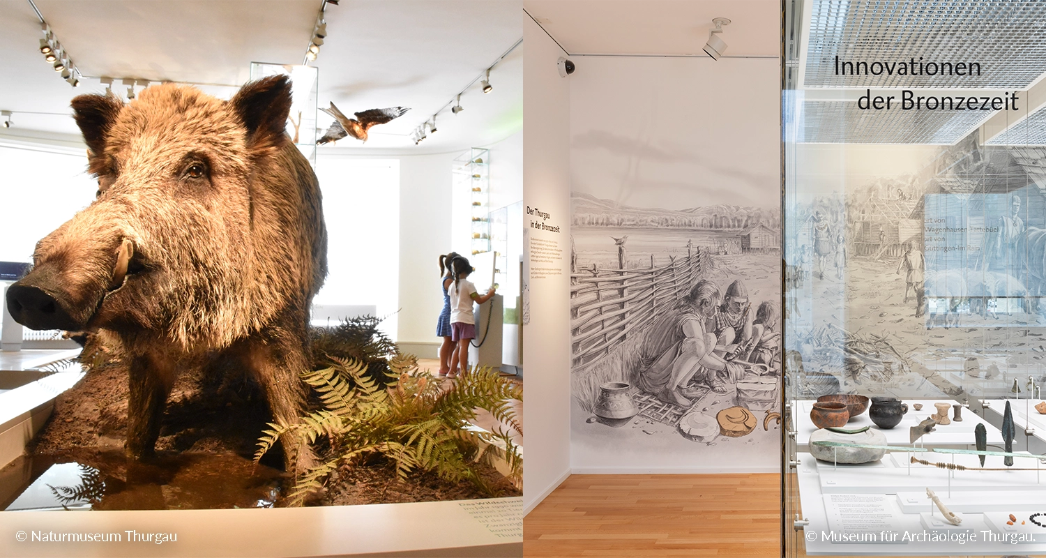 Naturmuseum & Museum für Archäologie TG - OSTWIND – steigen Sie ein.